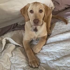 Meet your Posher, Cathy